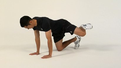 Double Quadruped Hip Abduction