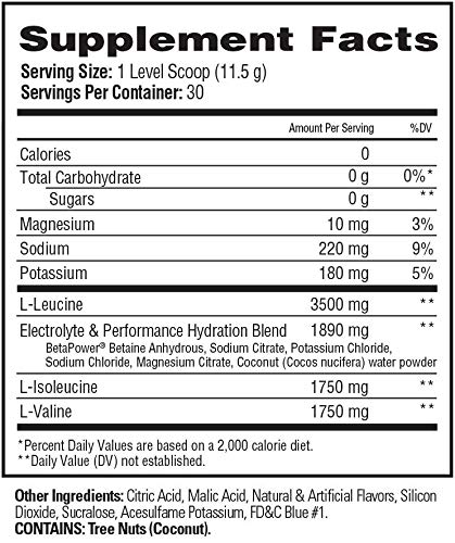 Scivation Xtend BCAAs label