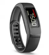 Garmin VivoFit 2