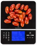 Wasserstein Nutritional Scale