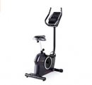 225 CSX Upright Bike