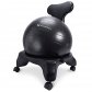 PharMedoc Balance Ball Chair